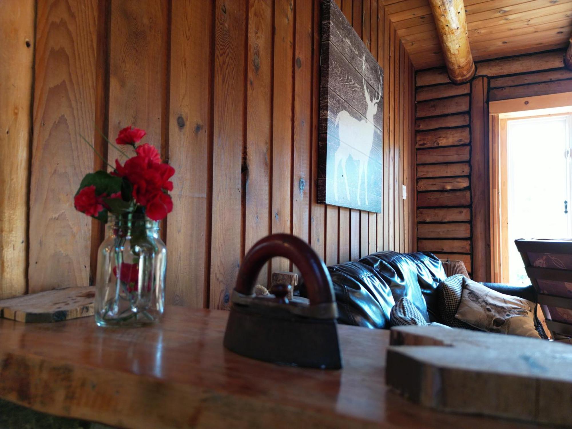 Cozy Log Cottage La Minerve Exterior foto